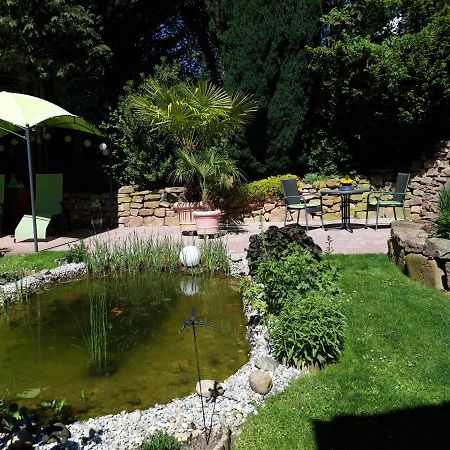 Ferienwohnung Trommblick - Natur Pur - Rimbach Im Odenwald ภายนอก รูปภาพ